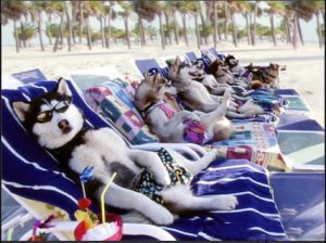 vacation packages - pic of beachcombers. 