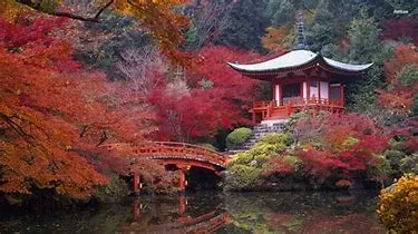 top travel destinations in asia Top Travel Destinations Asia - pic of Kyoto.