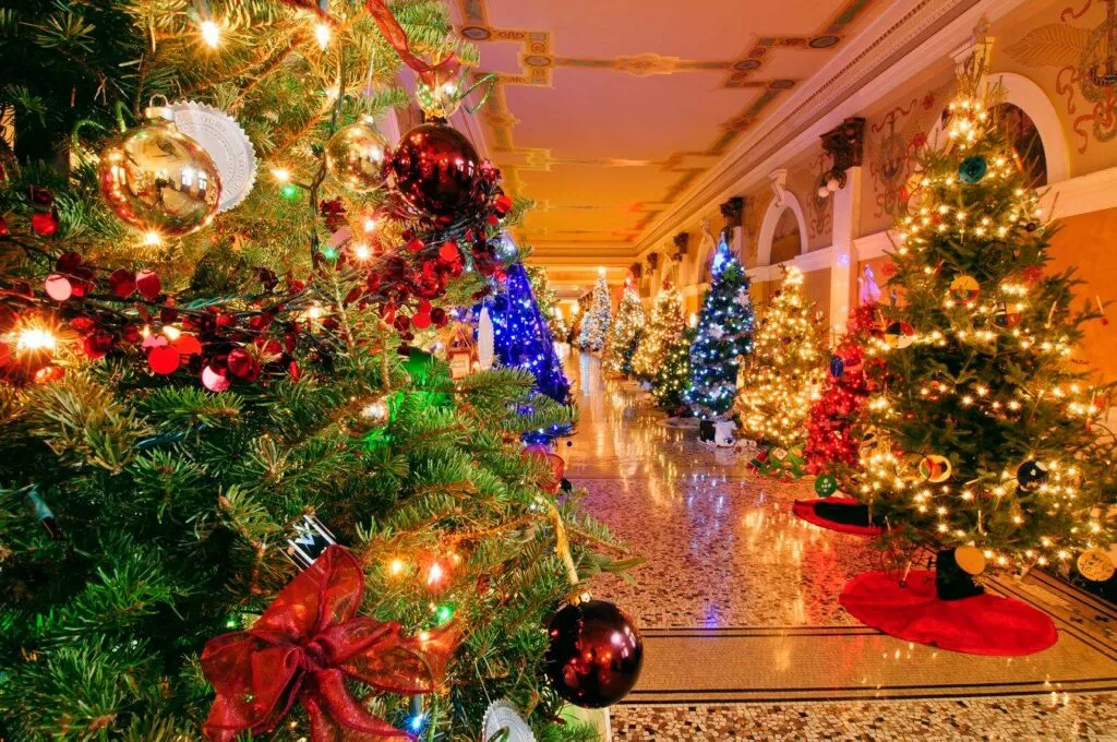 christmas travel deals,christmas travel,travel deals Christmas Travel Deals - Large picture of Christmas Trees all decorated for the holiday season.