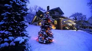 christmas travel deals,christmas travel,travel deals Christmas Travel Deals - Picture of a lone decorated Christmas tree in the snow.